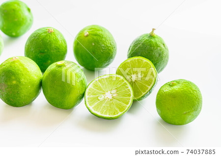 Keylime Keylime 74037885