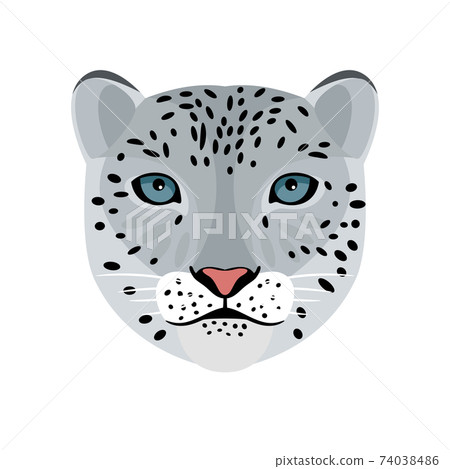 Snow leopard head 74038486
