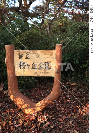 Former Tama Seiseki Memorial Hall: Autumn leaves in Sakurakaoka Park 74038495