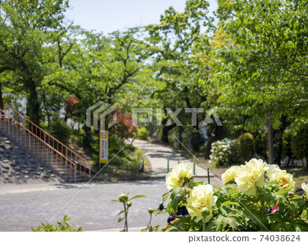 東京江東區植物園公園 74038624