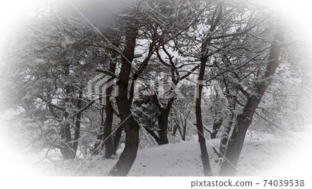 雪晨霧高原 雪晨霧高原 74039538