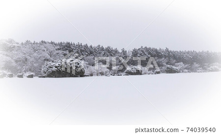 雪晨霧高原 雪晨霧高原 74039540
