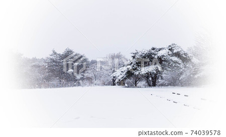 Snow morning mist plateau Snow morning mist plateau 74039578