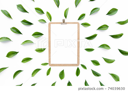 Mock up with frame workspace with green leaves and branches isolated on white background. Flat lay, top view. Mock up with frame workspace with green leaves and branches isolated on white background. Flat lay, top view. 74039630