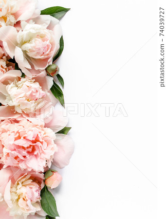 Border frame of pink and beige peony buds, branches and leaves isolated on white wooden background. The apartment lay, top view. Frame of flowers.  74039727