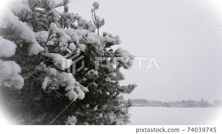 雪晨霧高原 74039745