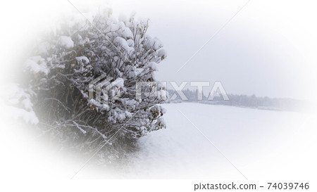 雪晨霧高原 雪晨霧高原 74039746