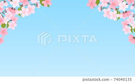 櫻桃背景材料 櫻桃背景材料 74040135