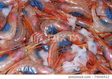 Shrimp, Recently Fished, Fish Market, Spain 74040412