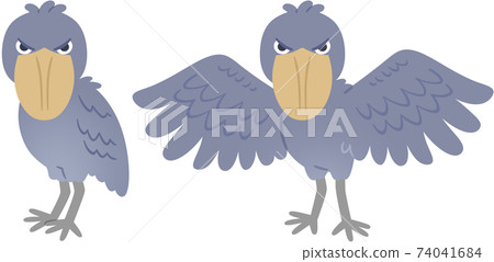 2 species of shoebill 2 species of shoebill 74041684