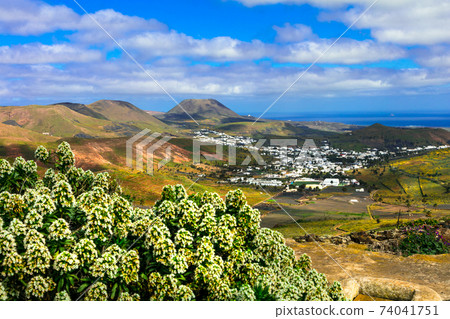 Lanzarote - impressive beauty of volcanic island.View of Haria village Lanzarote - impressive beauty of volcanic island.View of Haria village 74041751