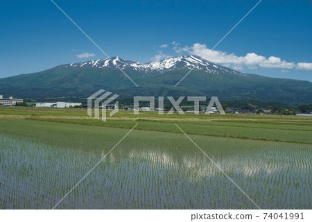 Mt. Chokai and paddy fields Yuza Town, Yamagata Prefecture Mt. Chokai and paddy fields Yuza Town, Yamagata Prefecture 74041991