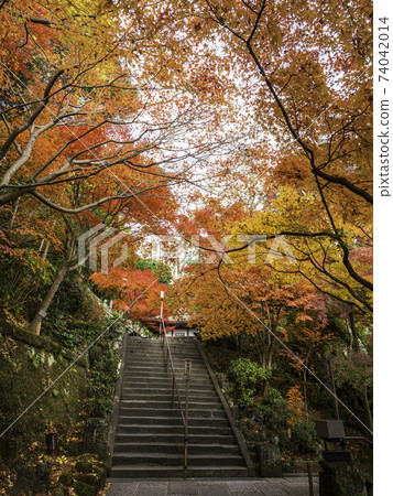 鎌倉Hasedera地區的秋葉 鎌倉Hasedera地區的秋葉 74042014