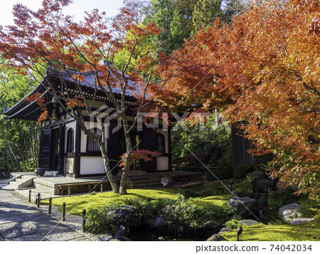 鎌倉/ Hasedera京藏和秋葉 74042034