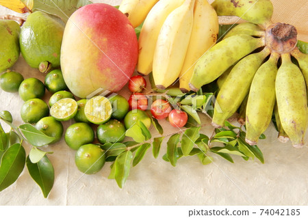 Tropical fruit group image 74042185