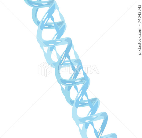 Structure of a helical DNA model 3D vector stock illustration. Close - up isolated on a white background. Hereditary set of x chromosomes in the human genome. 74042342