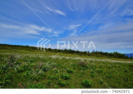 屈山和藍天在田代山沼澤 74042971