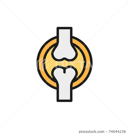 Knee joint, bones flat color line icon. Isolated on white background Knee joint, bones flat color line icon. Isolated on white background 74044236