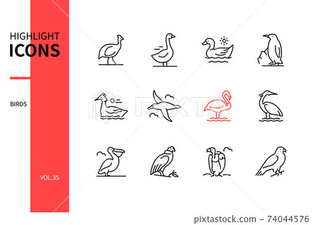 Bird species - modern line design style icons set Bird species - modern line design style icons set 74044576
