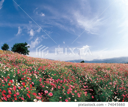 一邊是宇宙 74045660