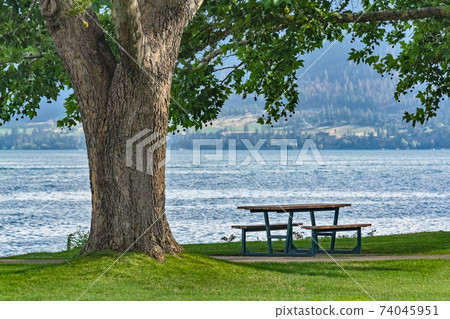 Recreational area under the crown of big chestnut tree with the lake overview Recreational area under the crown of big chestnut tree with the lake overview 74045951
