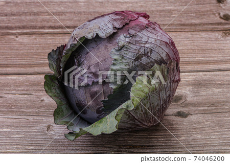 Natural ripe Organic violet cabbage Natural ripe Organic violet cabbage 74046200
