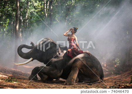Thailand Countryside; Silhouette elephant on the background of sunset, elephant Thai in Surin Thailand. Thailand Countryside; Silhouette elephant on the background of sunset, elephant Thai in Surin Thailand. 74046470