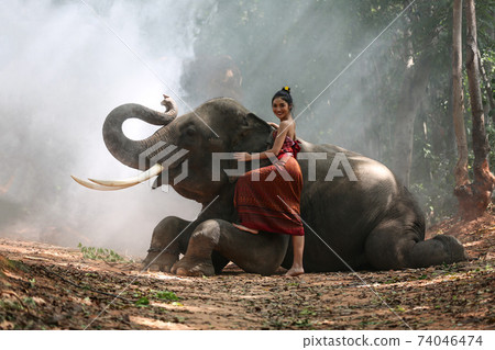Thailand Countryside; Silhouette elephant on the background of sunset, elephant Thai in Surin Thailand. Thailand Countryside; Silhouette elephant on the background of sunset, elephant Thai in Surin Thailand. 74046474