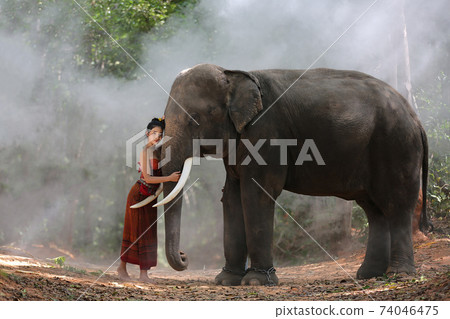 Thailand Countryside; Silhouette elephant on the background of sunset, elephant Thai in Surin Thailand. Thailand Countryside; Silhouette elephant on the background of sunset, elephant Thai in Surin Thailand. 74046475