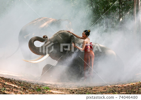 Thailand Countryside; Silhouette elephant on the background of sunset, elephant Thai in Surin Thailand. Thailand Countryside; Silhouette elephant on the background of sunset, elephant Thai in Surin Thailand. 74046480
