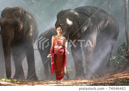 Thailand Countryside; Silhouette elephant on the background of sunset, elephant Thai in Surin Thailand. Thailand Countryside; Silhouette elephant on the background of sunset, elephant Thai in Surin Thailand. 74046481