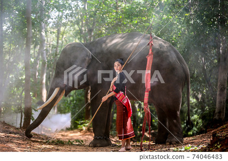 Thailand Countryside; Silhouette elephant on the background of sunset, elephant Thai in Surin Thailand. Thailand Countryside; Silhouette elephant on the background of sunset, elephant Thai in Surin Thailand. 74046483