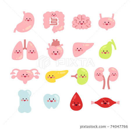 16 kinds of healthy internal organs cute characters 16 kinds of healthy internal organs cute characters 74047766