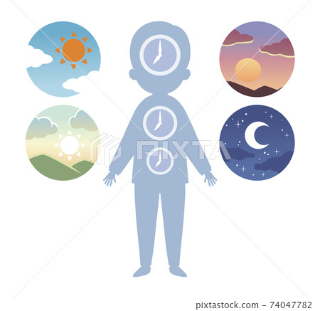 早上，白天，晚上和晚上的圖標和身體時鐘 74047782