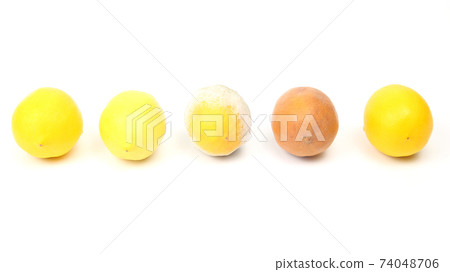 Rotten lemon next to fresh lemons on a white background Rotten lemon next to fresh lemons on a white background 74048706