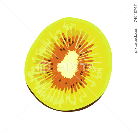 kiwi red vector stock close-up illustration. Green kiwi hybrid. Exotic fruit, tropical delicacy. Isolated on a white background. kiwi red vector stock close-up illustration. Green kiwi hybrid. Exotic fruit, tropical delicacy. Isolated on a white background. 74048747