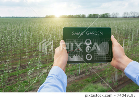 Digital agriculture, smart gardening. Farmer using tablet app to grow eco products, performing crop management outdoors 74049193