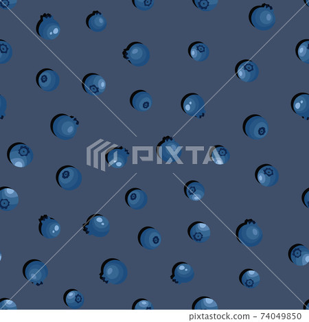 Seamless pattern with blueberry on grey background. Natural fresh ripe tasty blueberries. Vector illustration for background, packaging, textile, fabric and various other designs. Seamless pattern with blueberry on grey background. Natural fresh ripe tasty blueberries. Vector illustration for background, packaging, textile, fabric and various other designs. 74049850