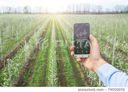 Agriscientist using mobile phone for management, control and monitoring of crop growth on farm, collage. Smart garden Agriscientist using mobile phone for management, control and monitoring of crop growth on farm, collage. Smart garden 74050056