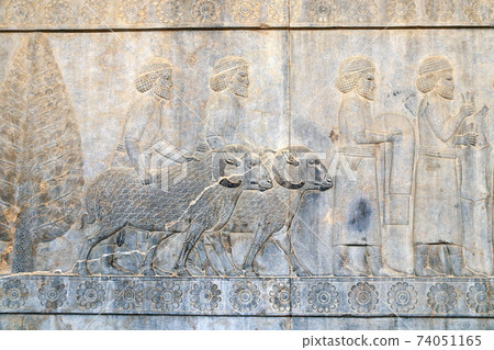 Bas-relief with assyrian warriors and foreign ambassadors, Persepolis, Iran Bas-relief with assyrian warriors and foreign ambassadors, Persepolis, Iran 74051165
