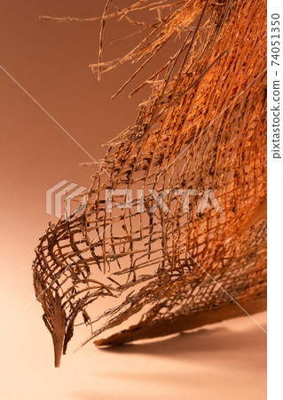 Natural palm bark texture with in shades of orange - trendy still life photo for your presentation, abstract background with copy space for text. Selective focus Natural palm bark texture with in shades of orange - trendy still life photo for your presentation, abstract background with copy space for text. Selective focus 74051350