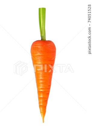 Carrot isolated. Fresh carrot with green stem. 74051528