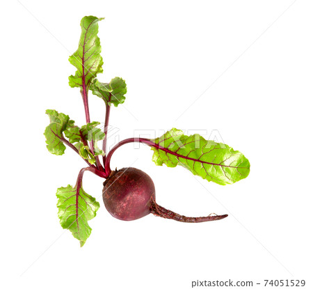 Beetroot with leaves, fresh whole beet isolated Beetroot with leaves, fresh whole beet isolated 74051529