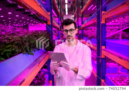 Worker with tablet on aquaponic farm, sustainable business and artificial lighting. Worker with tablet on aquaponic farm, sustainable business and artificial lighting. 74052794
