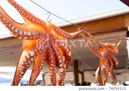 sun dried octopus sun dried octopus 74054125