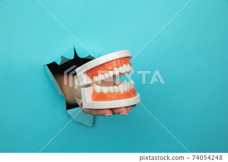 Woman hand showing a model of jaw out of a hole torn in blue paper wall. Health care concept 74054248