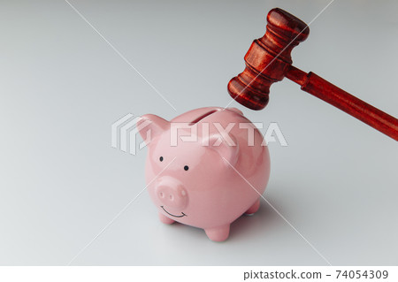 Judge wooden gavel and pink piggy bank on a white background. Loan and business concept 74054309