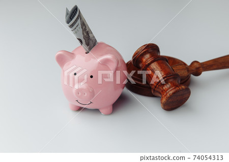 Gavel and pink piggy bank with dollar bill 74054313