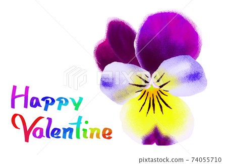 violet violet 74055710