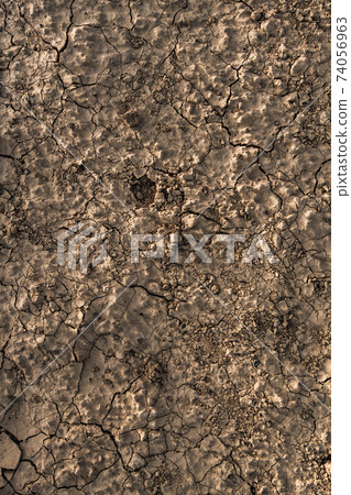 Close up of cracked dry clay. Sands of Death Valley National Park, California, USA. 74056963